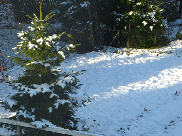 1-Schnee-2012-1