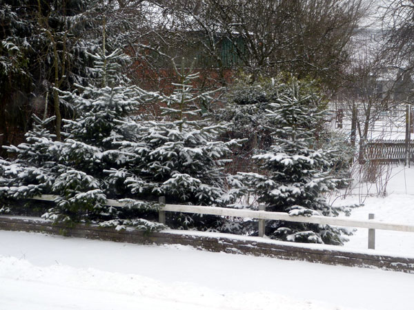 2012-1-Schnee-2