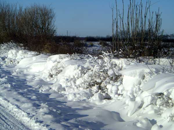 Winter2009-3