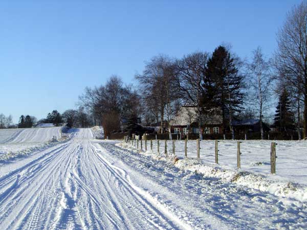 Winter2009-4